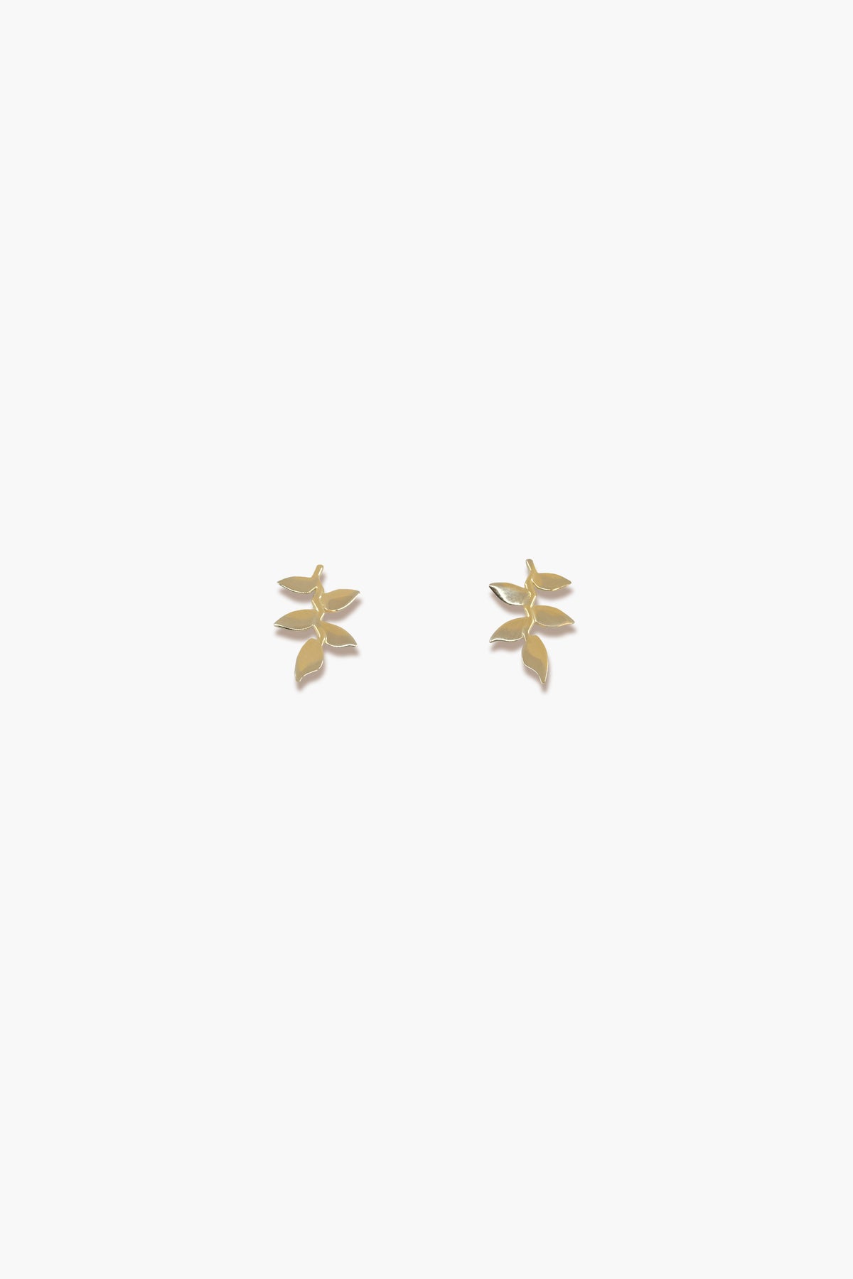 Heliconia Earrings